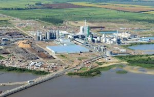 Montes del Plata is forecasted to produce 1.3 million tons annually plus generate sufficient electricity out of biomass to run the plant 