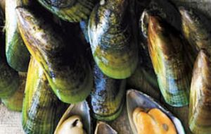 Production and export of mussels in Chile increased slightly but income in dollars  climbed 5.9%