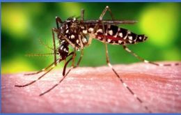 Chikungunya is a viral disease transmitted to humans by infected mosquitoes. Symptoms include high fever and headache with significant pains in the joints