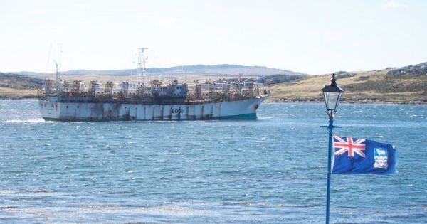 Record Year For Falklands' Fish Catches — MercoPress