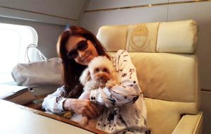 Cristina Fernandez presented her toy-caniche Lolita and announced that small pets (cats and dogs) will be allowed to travel with their families in Aerolineas 