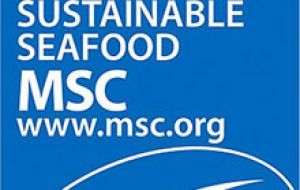 MSC certified fisheries now catch 8.8 million tons of MSC certified seafood per year, accounting for close to 10% of the total global wild-capture
