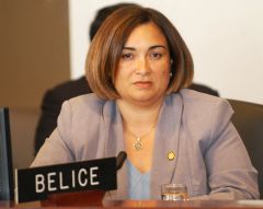 The delegation, headed by the former Foreign Minister of Belize Lisa Shoman, is comprised of 23 observers from 13 countries