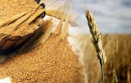 FAO upgraded its May 2015 forecast for global production of wheat, coarse grains and rice, anticipating bigger maize harvests in China and Mexico
