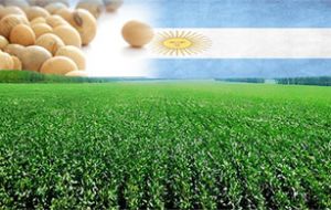 A record soy harvest in Argentina was noted, which helped to overcome the decline in price of commodities through the second half of 2014 and this year.