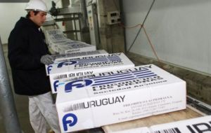 Uruguay which has a more aggressive production and sales policies shipped almost 50.000 tons of beef in the first four months of the year