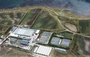 Stanley Growers, a success story of the Falklands, which has been recycling waste fuel for over fifteen years to generate heating for the greenhouses (Pic Don Rison)