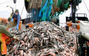FAO says per capita fish consumption globally has almost doubled since the 1960s, from an average of 9.9 to 19.2 kilograms.
