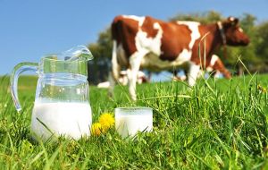 The dairy price index dropped 7.2% from June mainly due to lower demand from China, the Middle East and North Africa and a glut of milk in the US