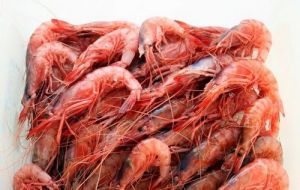  Shrimp (Pleoticus muelleri) landings also increased although at a moderate pace (6.2%): from 35,217.1 tons in the first half of 2014 to 38,217.1 tons this year.