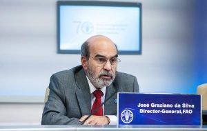 “Forests play a fundamental role in combating rural poverty, ensuring food security and providing people with livelihoods” said José Graziano da Silva