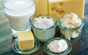 A substantial drop in prices for milk powders, cheese and butter pushed the August dairy price index down by 9.1% to 135.5 points