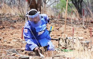 Using manual and mechanical demining methods, HALO helped make over 17 million square meters of land safe. 