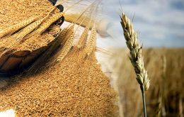 Forecast for global wheat production has been raised, largely reflecting a bigger harvest in the European Union than earlier anticipated. 