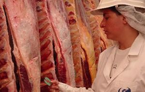 In 2000 Argentina had shipped 26.000 tons of fresh and frozen beef to Canada.