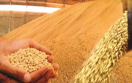  Brazil exported 54.3 million tons of soybeans; 28.9 million tons of corn; 11.9 million tons of cellulose and the 2 million tons of coffee beans last year