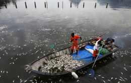“Officials found rubbish in the water and on the beach as well as a considerable number of dead fish all from the same species of sardine,” said city officials
