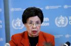 Director-General Margaret Chan said on Monday coordinated international action was needed to improve detection and speed work on a vaccine