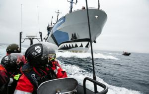 Sea Shepherd Global; “this rogue act is blatant disregard of international law and diplomacy, and sets a dangerous precedent for all nations that respect rule of law.”