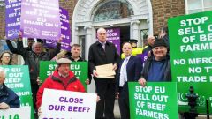 The Irish Cattle and Sheep Farmers' Association (ICSA), which staged the protest described the offer from EU Commissioner Malmström as “reckless concessions”.