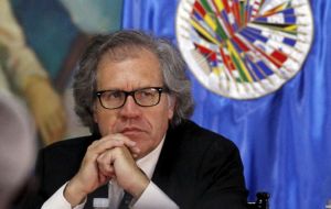 The OAS Secretary General in an open letter said Maduro would turn into another “petty dictator” if he impeded the recall referendum sponsored by the opposition    
