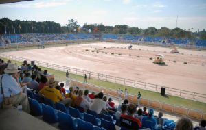 Among those euthanized were two horses that had been housed at western Rio’s Deodoro Military Complex, where the Olympic equestrian events will be held.
