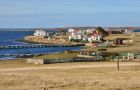 There are currently 479,652 sheep on the Falklands with 143,247 being run on the FIH farms of Goose Green (pic)(77,862), North Arm (48,630) and Fitzroy (16,755)