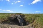 A Magellanic penguin sits at the mouth of its burrow on Volunteer Point, Falkland Islands. (Jahi Chikwendiu/The Washington Post)