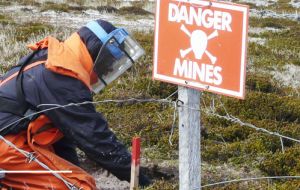 De-mining experts doing their highly risky job with the protection equipment