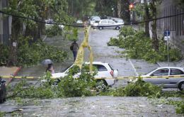 Fallen trees, flooded roads, power lines down, in different districts of Montevideo