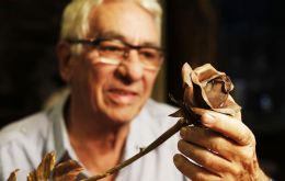 Goldsmith Juan Carlos Pallarols at his workshop creating metal roses from bullets, pistols and even parts of airplanes from the Falkland Islands war (Pic WGKA)