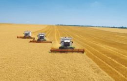 Argentine farmers likely planted 5.19 million hectares with wheat this year, the Agriculture Ministry said. Argentine wheat is harvested in December and January.