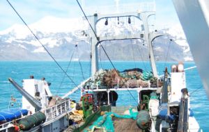 Nets prepared for catching fish around South Georgia