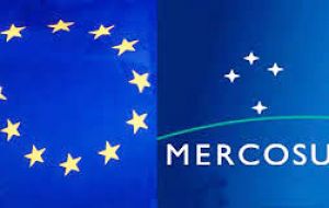 The EU and Mercosur bloc are set to press on with negotiations on a massive trade deal and ”this situation really complicates negotiations”.