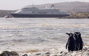 Each time a cruise ship docks, hundreds of passengers come ashore to see wildlife. If Yorke Bay is reopened, it's easy-to-reach location; it could make it a magnet for tourist traffic (Pic GETTY IMAGI