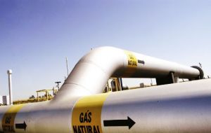 Petrobras, which financed and built the pipeline on both sides of the border, is allowed to buy up to 30.1 million cubic meters of gas per day