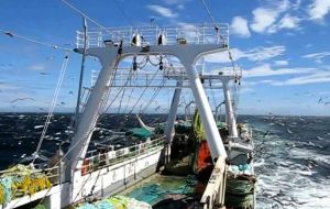 During the first calamari season, the fleet harvested around 40,000 tons, and two weeks of the second season brought onboard another 10,000 tons of squid.