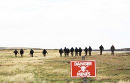 Special teams of deminers working in Falklands' fields clearing them of ordnance   