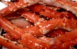King crab is a benthic crustacean distributed in cold waters of subantarctic origin along the South Atlantic from the Falklands and Tierra del Fuego, to south Brazil.