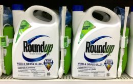 The current license expires at the end of 2017. Europe has been stuck over what to do with the chemical, key ingredient in Monsanto Co’s top-selling Roundup 
