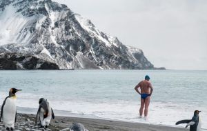 Mr Pugh, who has swum in the Arctic and Antarctic and every ocean on Earth, had billed his latest swim as his most dangerous yet. 