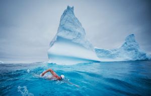 Pugh became the first person to swim in the spot. His 19-minute swim took him past the Grytviken whaling station to near the grave of explorer Sir Ernest Shackleton.