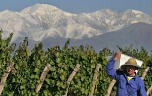 Argentine wine producers famed for its plush Malbec, had decried the proposal’s potential impact on sales as they struggle to recover from small vintages