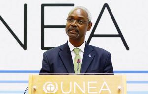 UN Environment deputy head, Ibrahim Thiaw, said: “What we need to do next is to move concretely to a plan of action”.