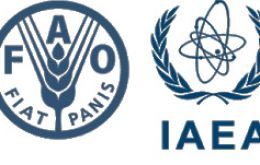 The International Atomic Energy Agency, IAEA and the Food and Agriculture Organization have supported Argentina in applying SIT against fruit flies