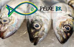 Peixe BR regrets “the lack of attention” to national aquaculture by government and demands measures to impede imperiling the conquest of new business partners.
