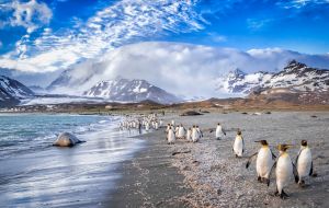 Unlike the Falkland Islands Tourist Board, it is a members’ organization, open to any individuals or organization involved in the tourism industry in the Islands.