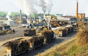 Around 150 sugar mills have already shut down in the state of Sao Paulo alone, trade group UNICA said in a statement. 