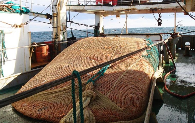 According to the release of official records, until 21 June, 68,081 tons of shrimp had been unloaded, compared to 87,400 in the same period last year