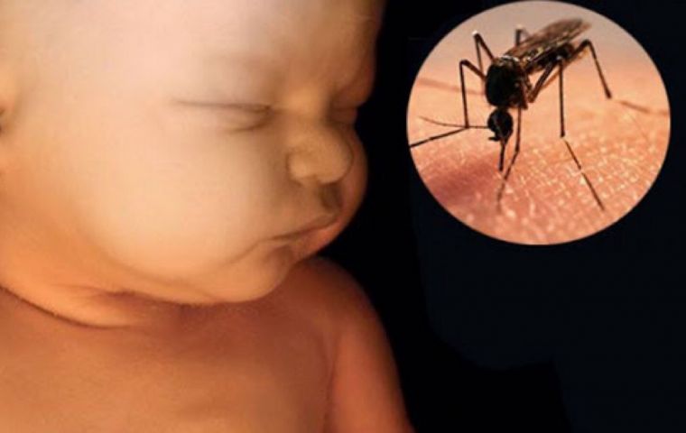 The Zika epidemic didn't just lead to a decrease in terms of the number of births also led to an increase in infant deaths due to severe malformations.